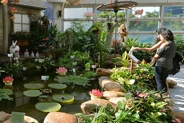 植物展覽設(shè)計(jì) 展出了哪些植物